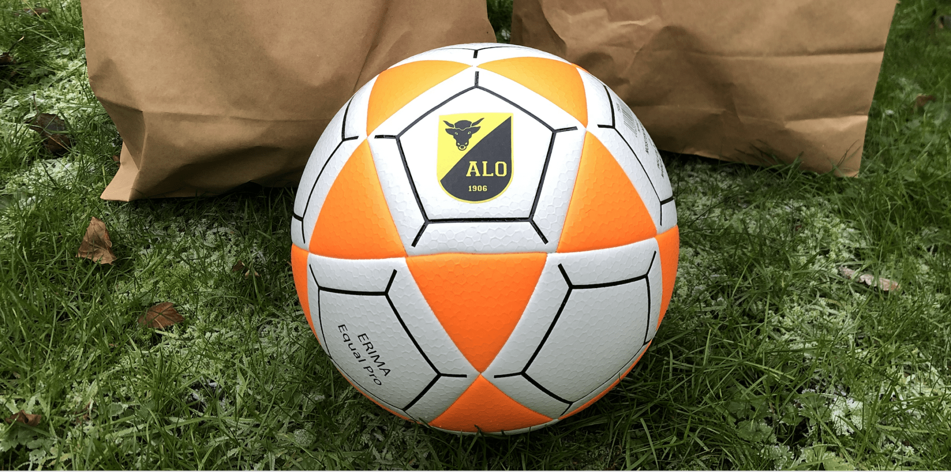 Korfbal met ALO-logo